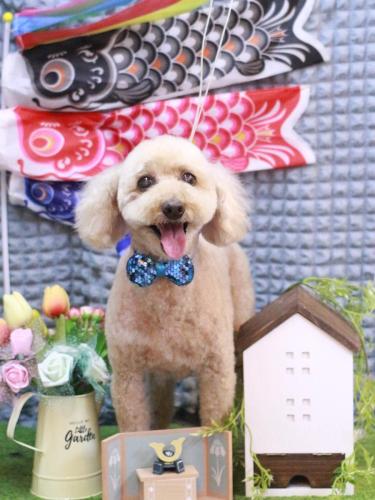 20230510ココアちゃん